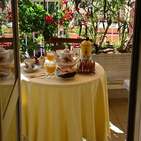 Splendidae Mundi Roma