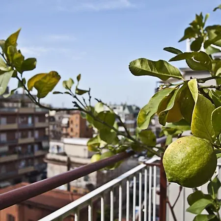 Splendidae Mundi * Roma