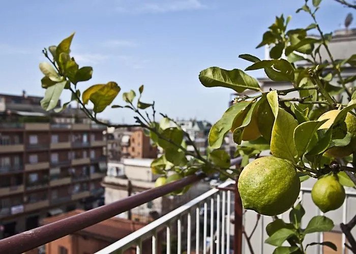 Splendidae Mundi 4* Рим