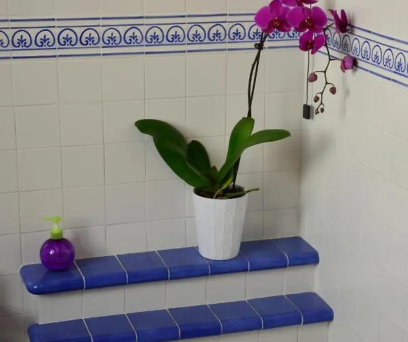 Splendidae Mundi 4* Roma